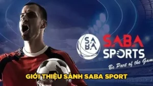 Giới Thiệu Về Sảnh Thể Thao Saba Tại Nhà Cái Sodo66