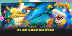Cách Chơi Bắn Cá Vua Hải Tặc Với Bin88: Bí Kíp Thắng Lớn